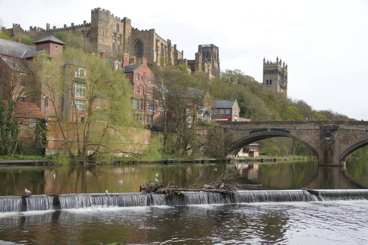 Student Accommodation in Neville's Cross, Durham - Durham Cathedral from across the River Wear