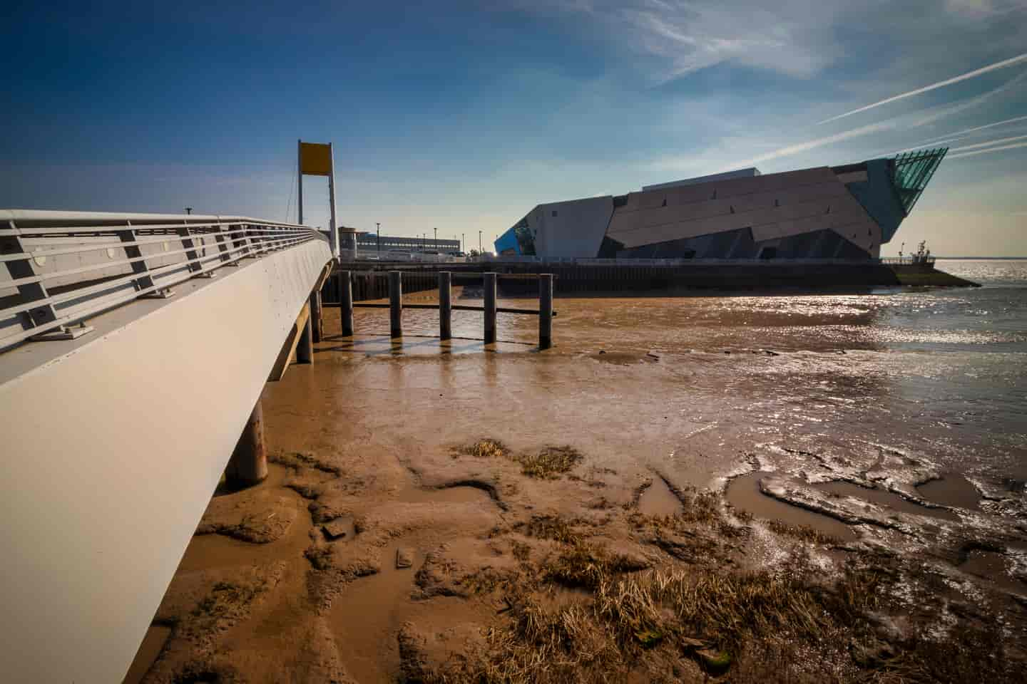 Student Accommodation in Hull - The Deep Aquarium at Sammy's Point