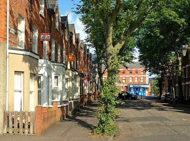 Student Accommodation in Holylands, Belfast - trees on Collingwood Avenue