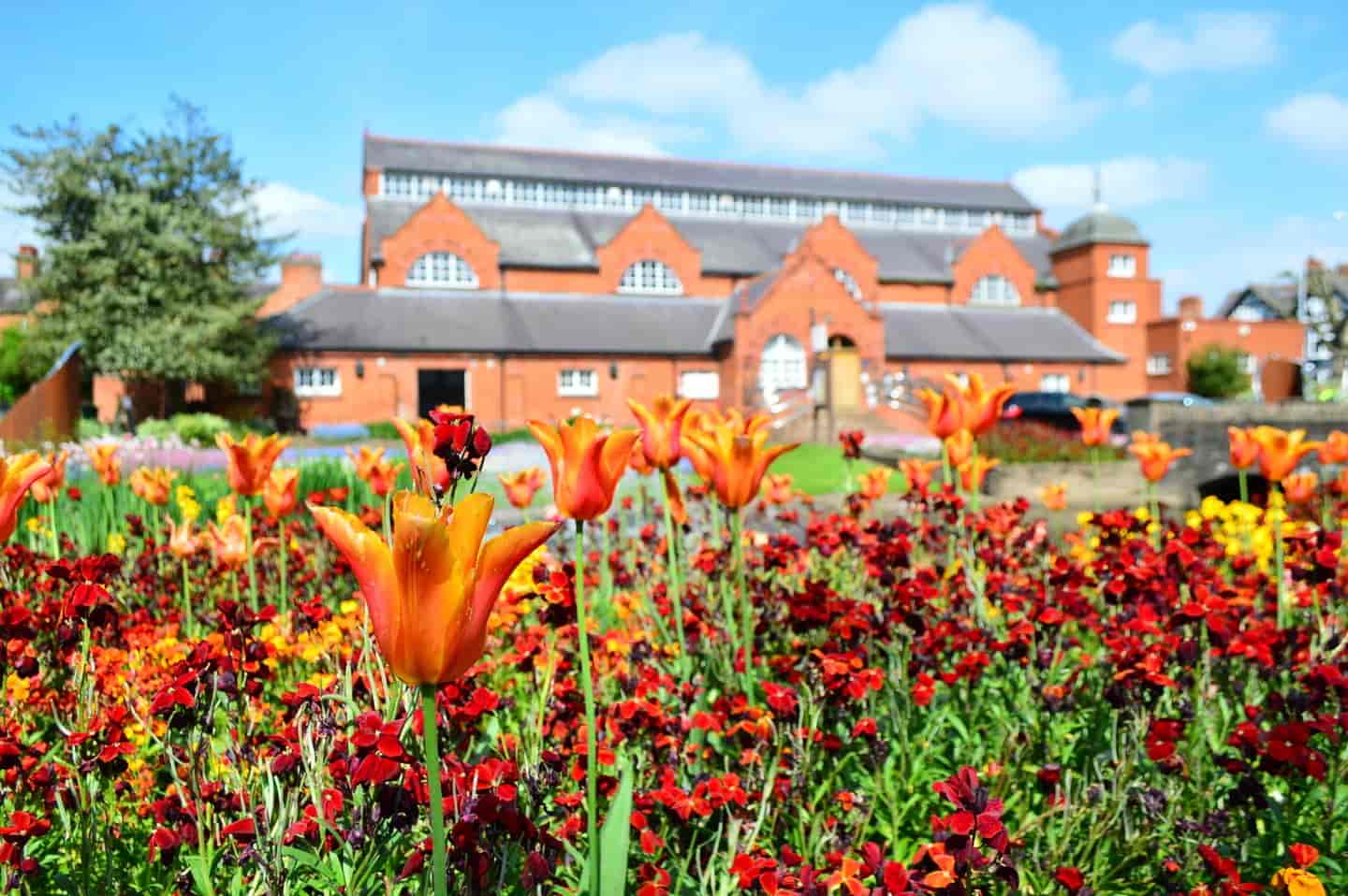 Student Accommodation in Loughborough - Orange flowers and Charnwood Museum