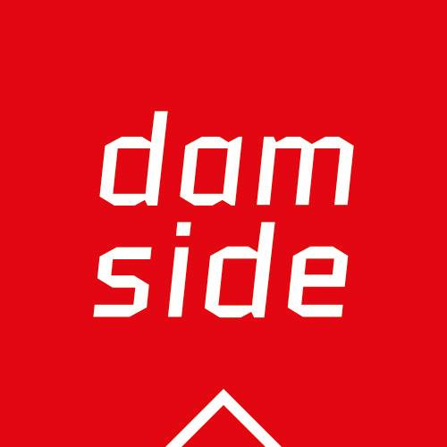 Logo for Damside