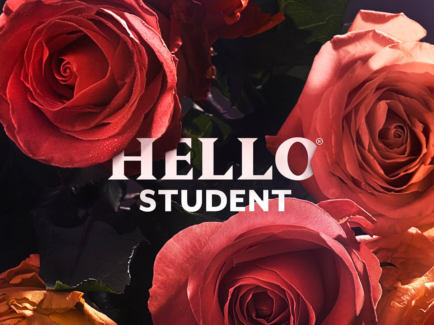 Logo for Hello Student: Ayton House