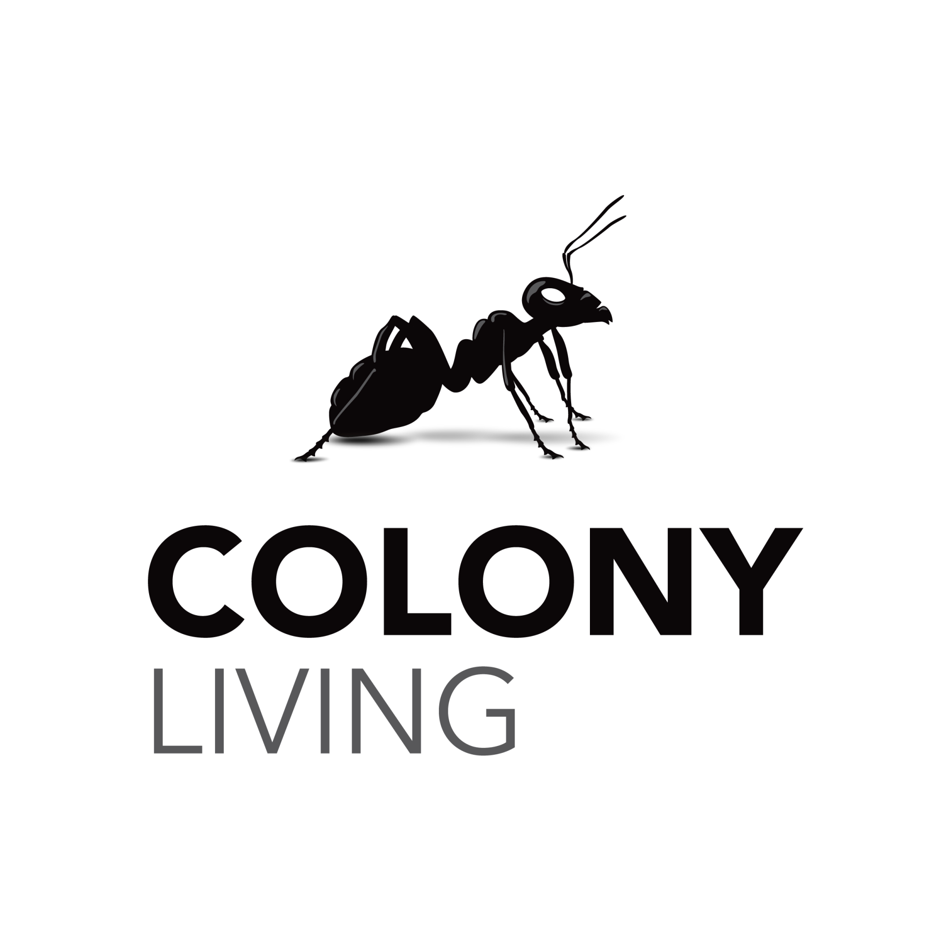 Logo for landlord Colony Living