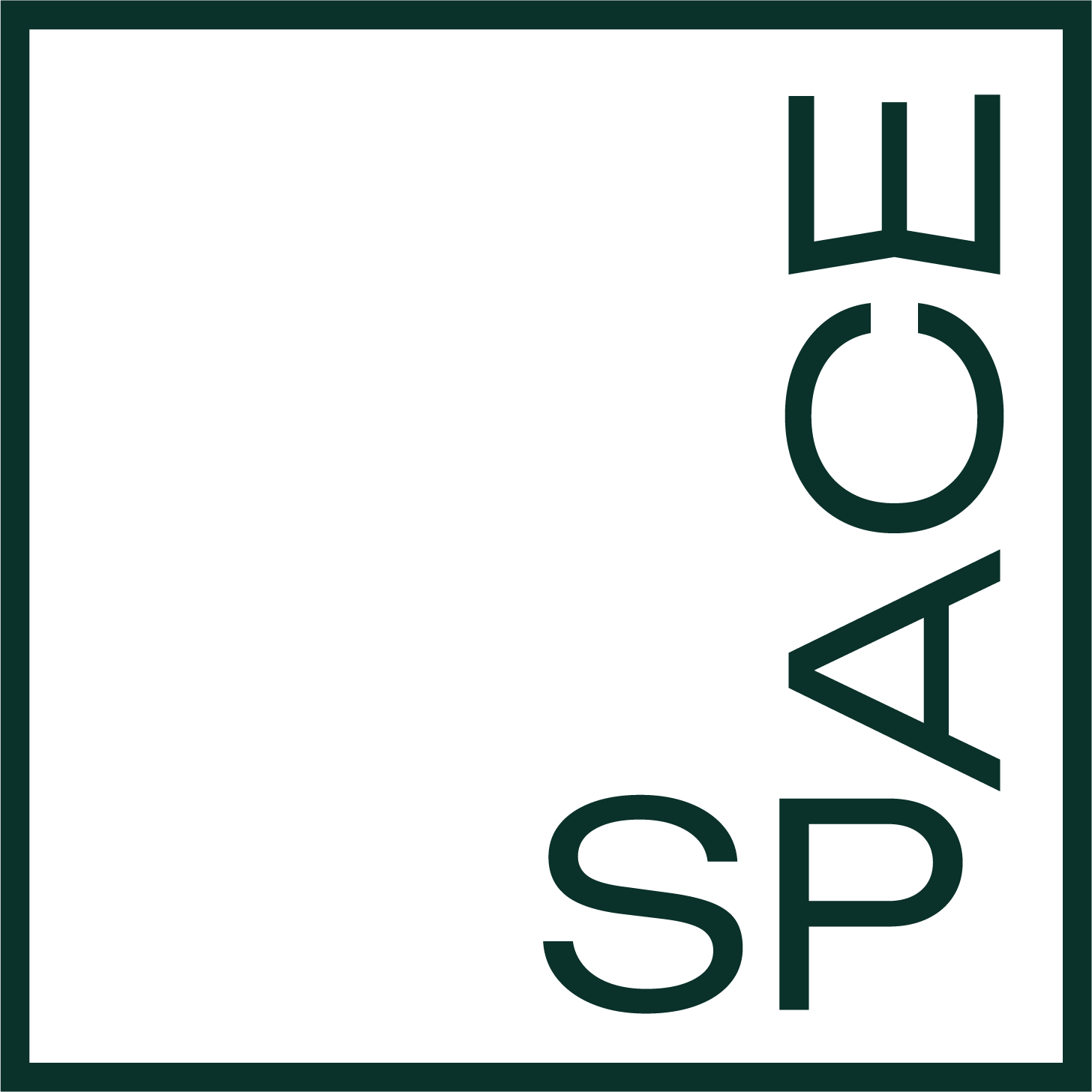 Logo for SPACE