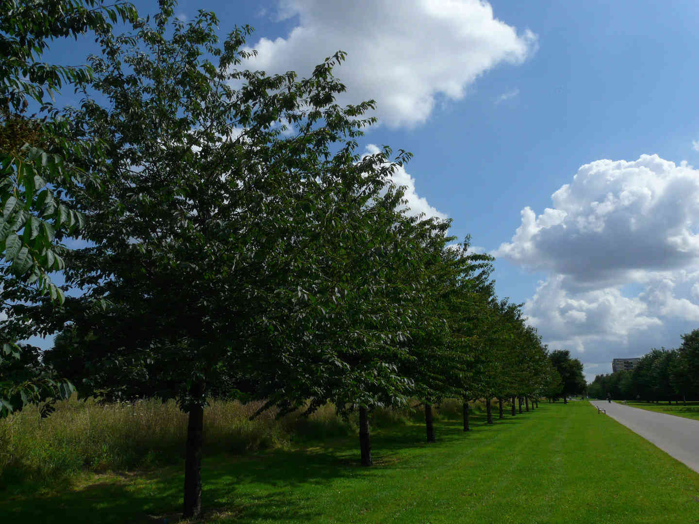 Peckham, London Student Area StuRents