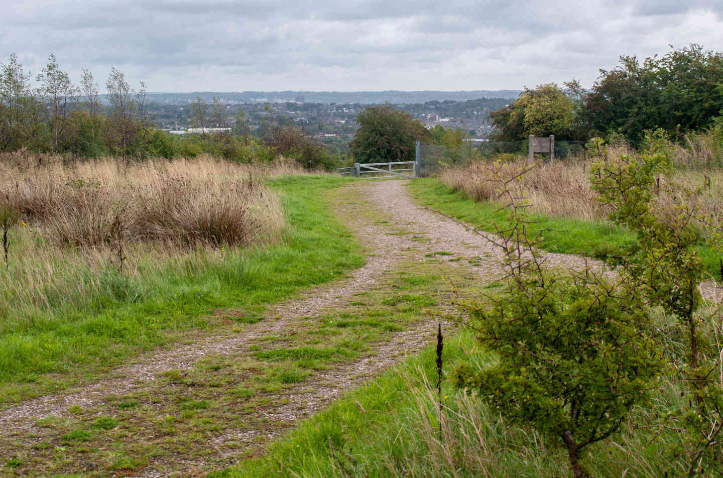 Silverdale, NewcastleunderLyme Student Area StuRents