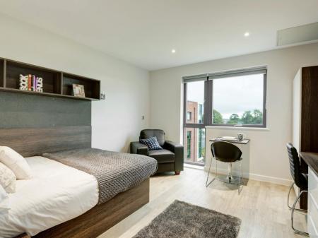 Premium Studio - EPC Rating B Student flat to rent on Prince of Wales Road, Exeter, EX4