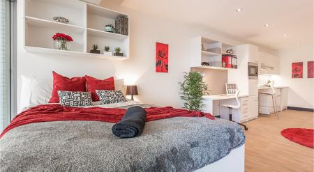 Studio Sapphire Plus Student flat to rent on Windsor Terrace, Southampton, SO14