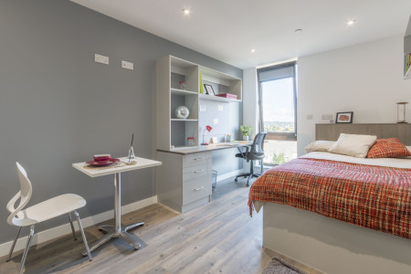 Large Premium Studio Student flat to rent on St. Andrews Lane, Cardiff, CF10