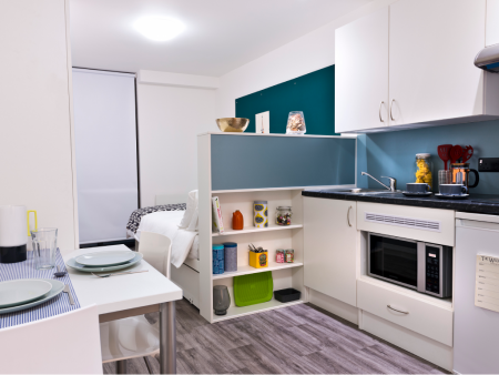Standard Studio Student flat to rent on Dublin Road, Belfast, BT2