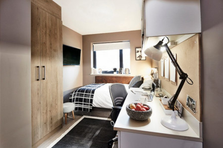 Bronze Studio Student flat to rent on Newport Road Lane, Cardiff, CF24