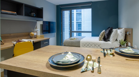 Superior Studio Student flat to rent on West Bar, Sheffield, S3