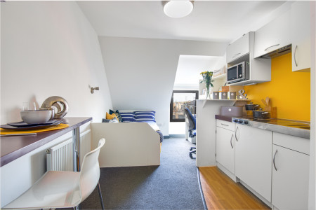 Bronze Studio Student flat to rent on Fulham Palace Road, London, W6