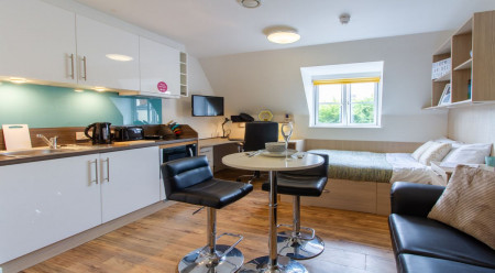 Premium Studio Student flat to rent on Lower North Street, Exeter, EX4