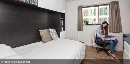 Private Room, Tower Bridge 1 bed student flat to rent on Minories, London, EC3N