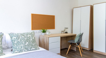 Gold Twin Studio Student flat to rent on Gower Street, London, WC1E