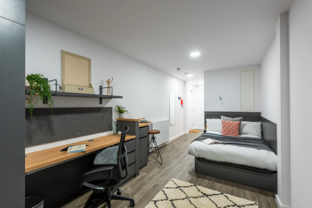 Deluxe Studio Student flat to rent on Perth Road, London, IG2