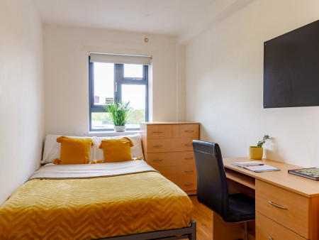Silver Non-Ensuite Room 1 bed student flat to rent on Lower Road, London, SE16