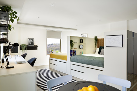 Wade Deluxe Twin Studio Student flat to rent on Student Castle Brighton, 4 Pelham Ter, Brighton an, Brighton, BN2