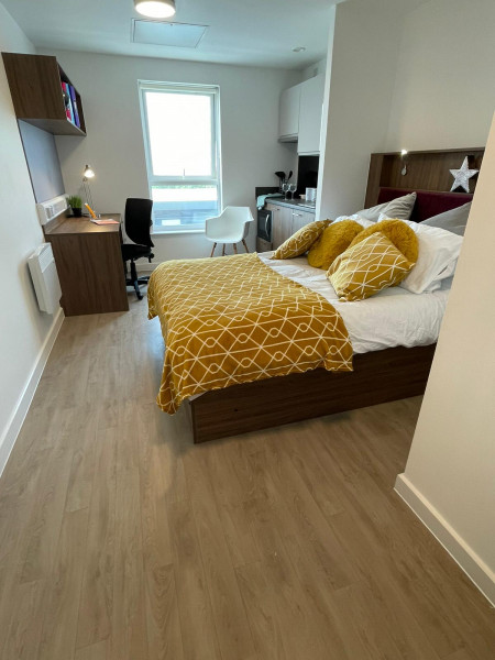 Deluxe Studio Student flat to rent on Prince Edwin Street, Liverpool, L5
