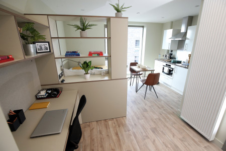 Bronze Studio Student flat to rent on York Street, Belfast, BT15