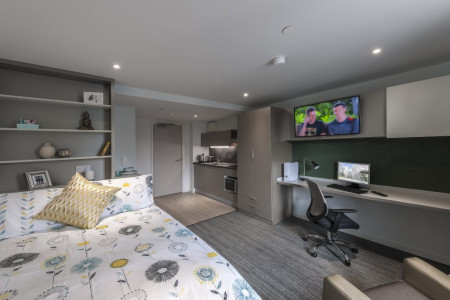 Silver Plus Studio Student flat to rent on Pitt Street, Newcastle, NE4