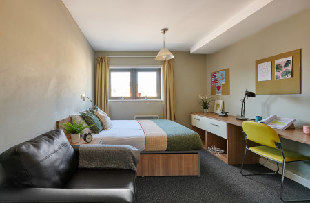Classic Studio Student flat to rent on Salem Place, Exeter, EX4