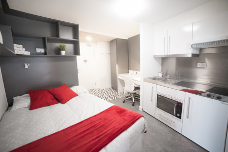 Platinum Accessible Studio Student flat to rent on Paradise Street, Coventry, CV1