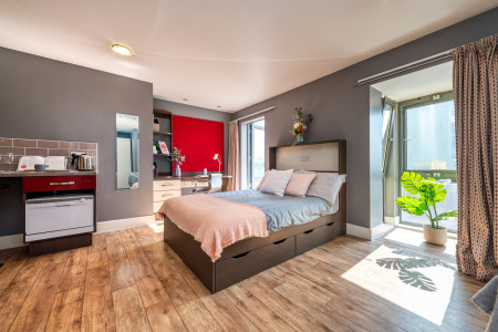 Deluxe Studio Student flat to rent on Walworth Road, London, SE17