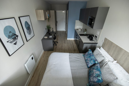 Deluxe Studio with Terrace/Patio Student flat to rent on St. Helens Road, Swansea, SA1