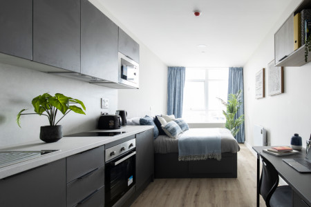 Luxury Studio Student flat to rent on St. Helens Road, Swansea, SA1