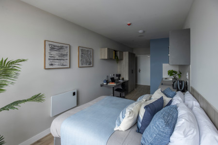 Premium Studio Student flat to rent on St. Helens Road, Swansea, SA1