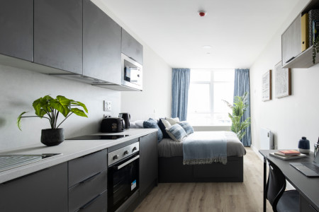 Superior Studio Student flat to rent on St. Helens Road, Swansea, SA1