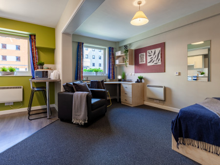 Classic Studio Student flat to rent on Boston Street, Sheffield, S2