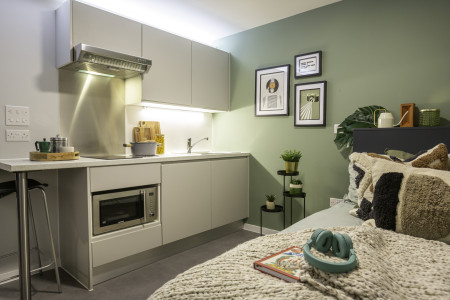 Premium Studio Student flat to rent on Alscot Road, London, SE1