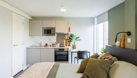 Superior Studio Student flat to rent on Alscot Road, London, SE1