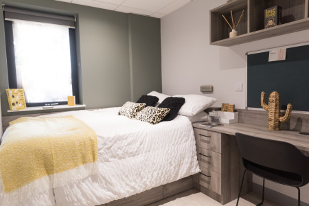 Large Studio Student flat to rent on Kings Road, Swansea, SA1