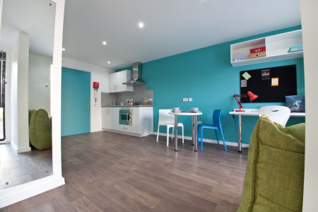 Superior Studio Student flat to rent on Montgomery Street, Edinburgh, EH7