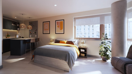 Platinum Studio Student flat to rent on Portswood Road, Southampton, SO17