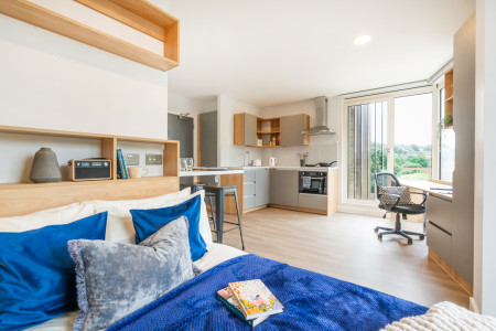 Studio - Gold Student flat to rent on Moulsecoomb Way, Brighton, BN2