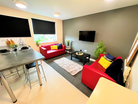 Ground Floor Deluxe En-Suite 1 bed student flat to rent on Fylde Road, Preston, PR1