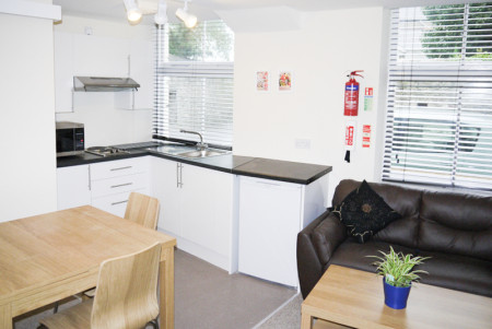 Studio Student flat to rent on North Road West, Plymouth, PL1