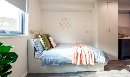 Deluxe Plus Studio Student flat to rent on Tunnel Avenue, London, SE10
