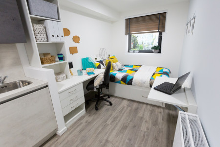 Accessible Studio Student flat to rent on Tunnel Avenue, London, SE10