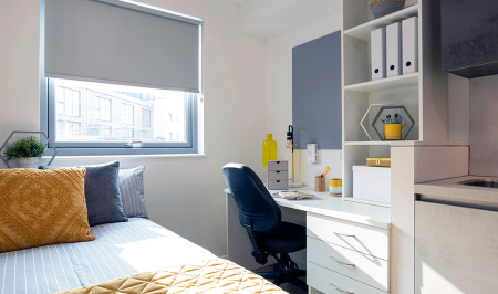 Premium Studio Student flat to rent on Tunnel Avenue, London, SE10