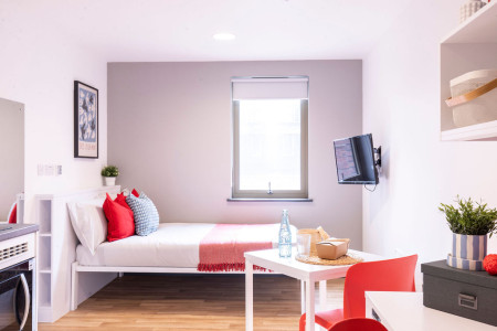 Luxury Studio Student flat to rent on Bailey Street, Sheffield, S1