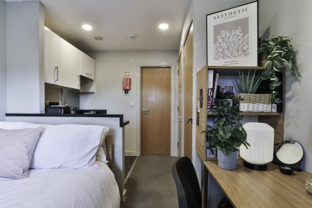 Bronze Studio Student flat to rent on Moseley Road, Manchester, M14