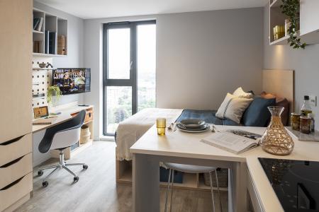 Standard Studio Student flat to rent on Winter Street, Sheffield, S3