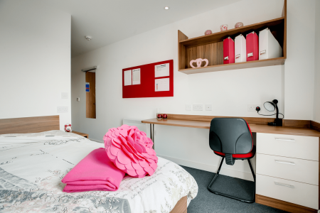 2 Bed Standard En-suite 2 bed student flat to rent on Aston Webb Boulevard, Birmingham, B15