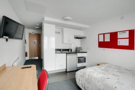 Silver Studio Student flat to rent on Aston Webb Boulevard, Birmingham, B15